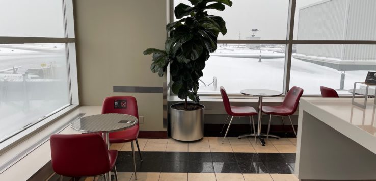 a plant in a pot in a room with windows