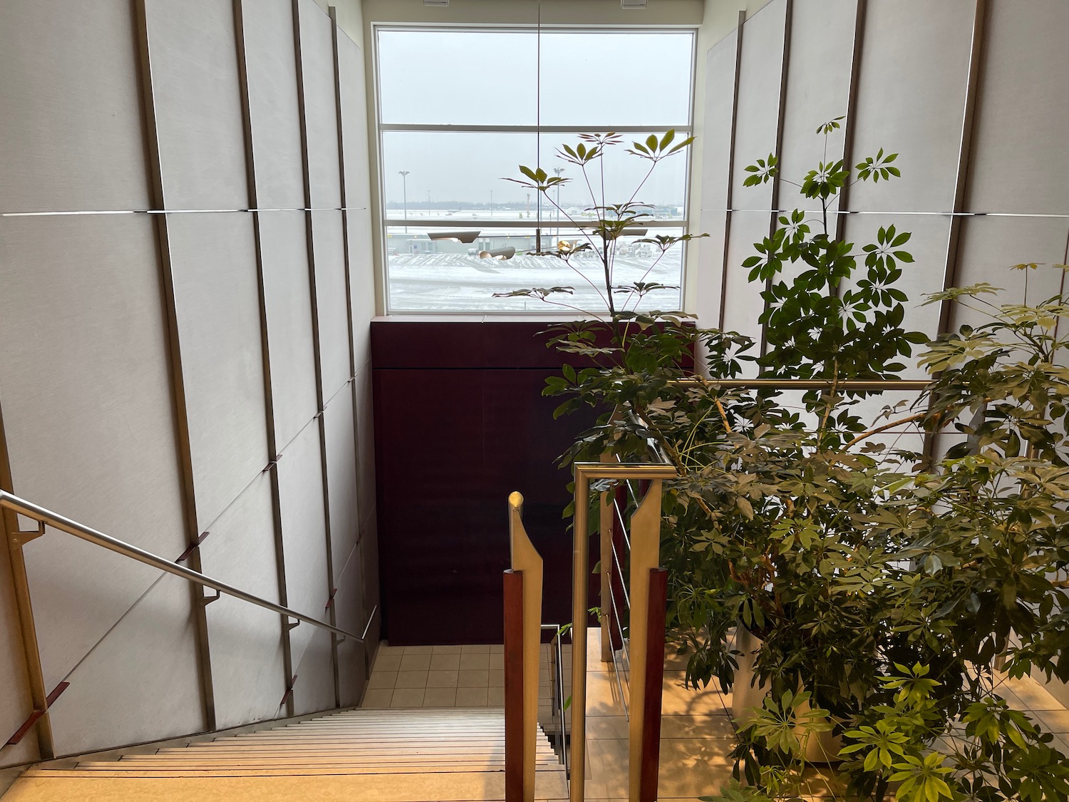 a staircase with a window and a plant