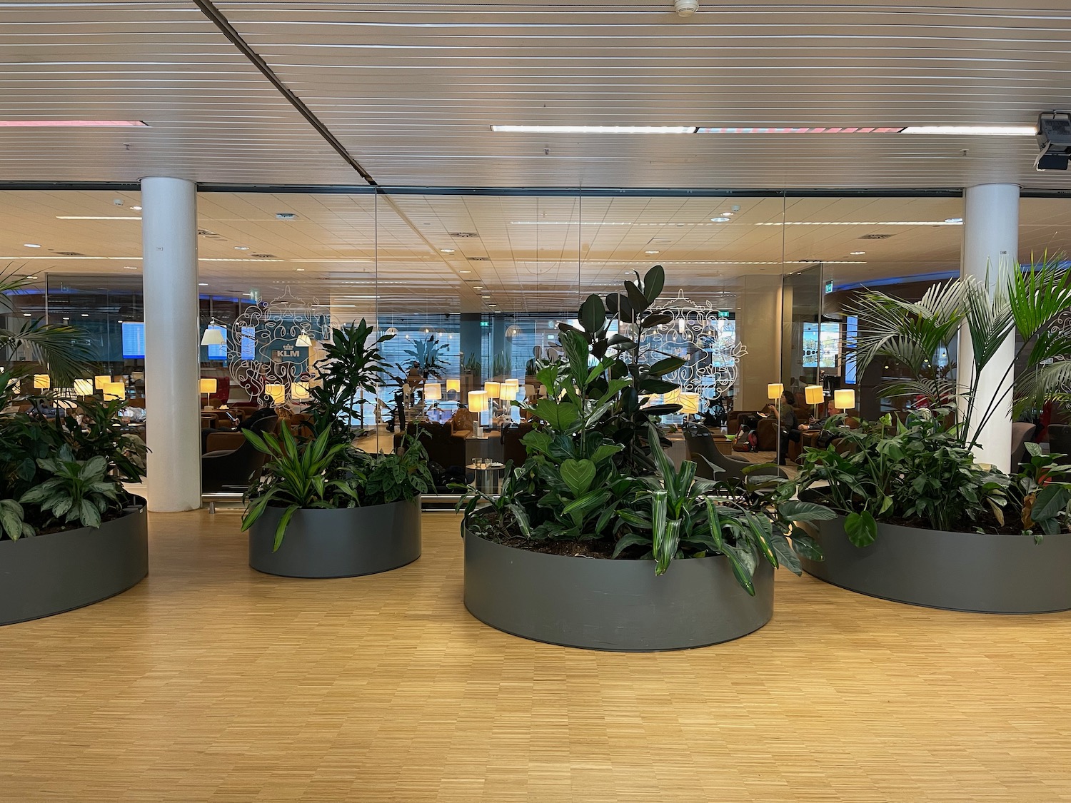 a planters in a room