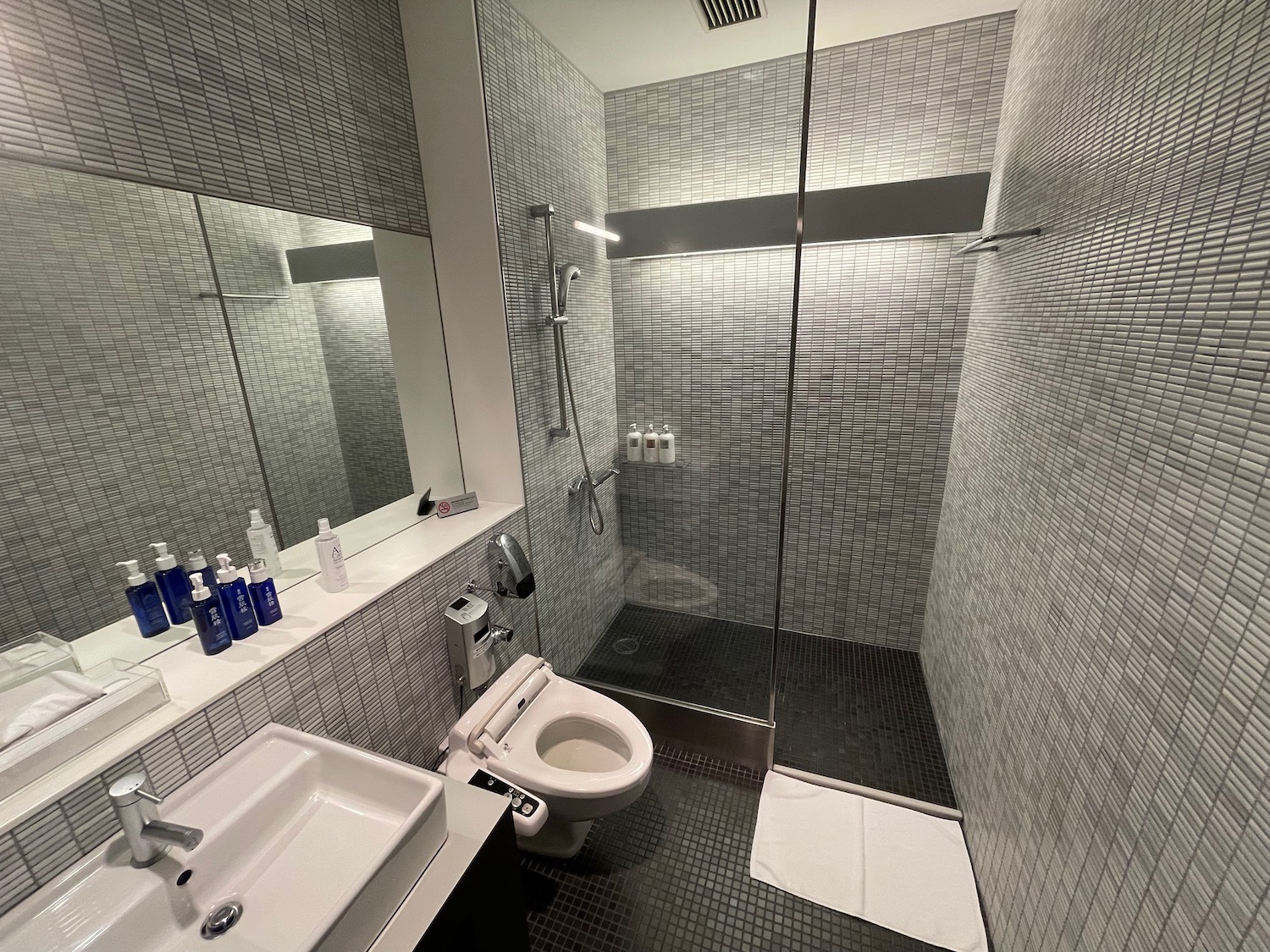 a bathroom with a shower and toilet