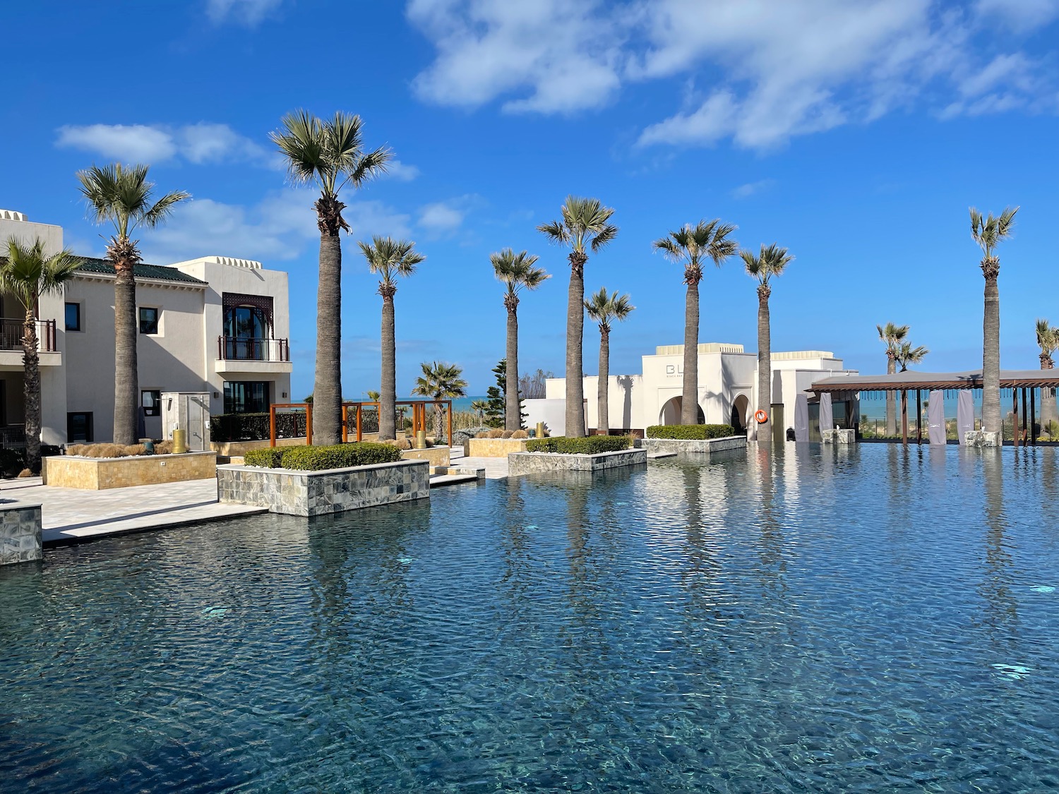 a pool with palm trees and buildings in the background