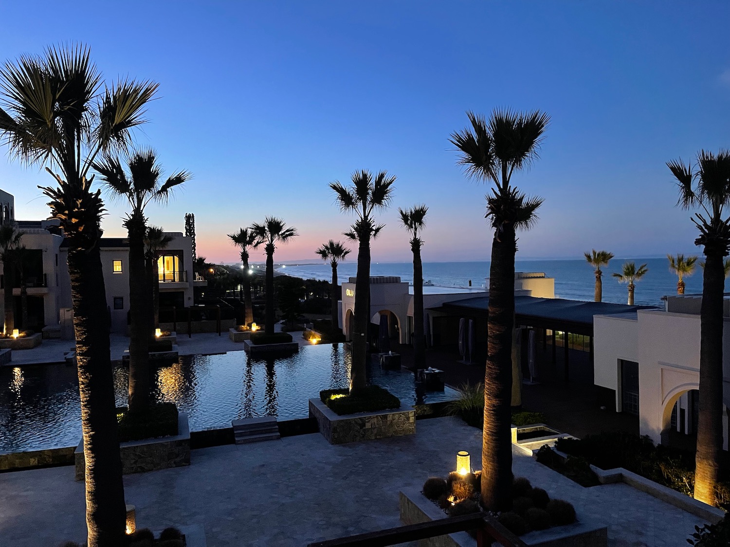 a palm trees next to a pool