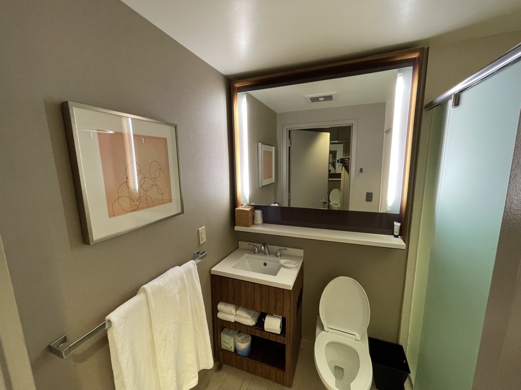 Hyatt Grand Central review bathroom