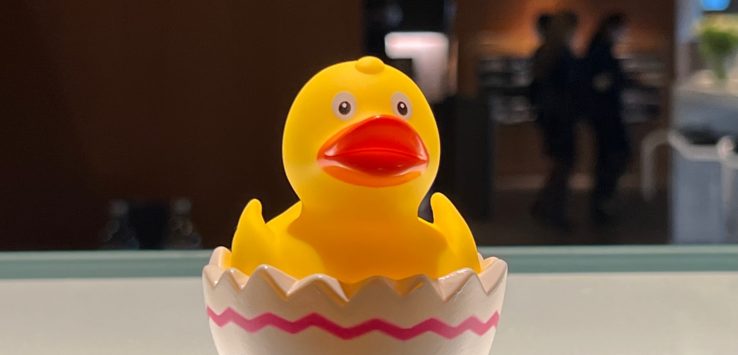 a yellow rubber duck in an egg shaped container