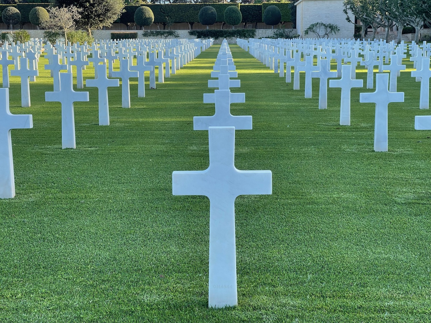 a rows of white crosses in a cemetery