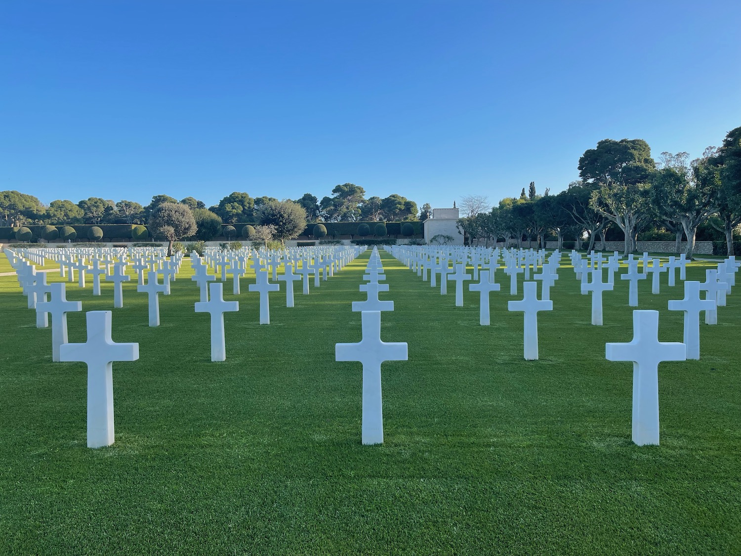 a large group of white crosses in a field