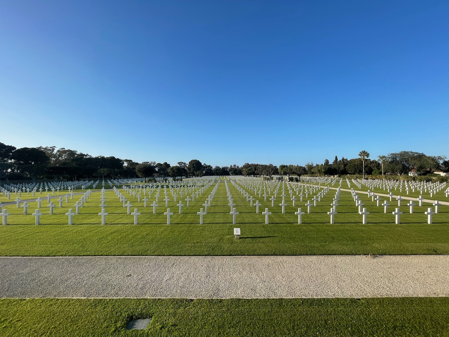 a large field of white gravestones