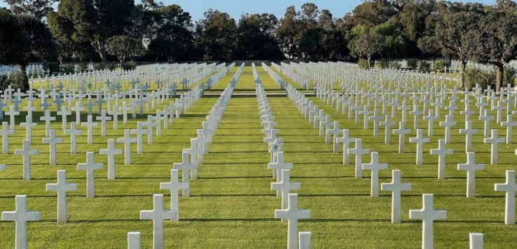 a large field of white crosses