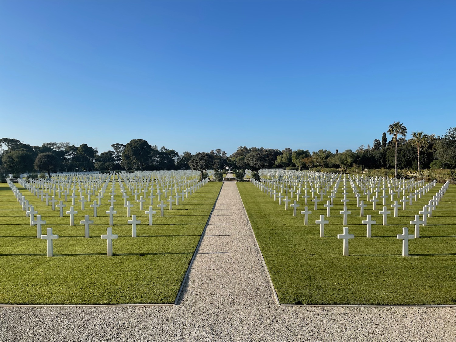a large cemetery with many white crosses