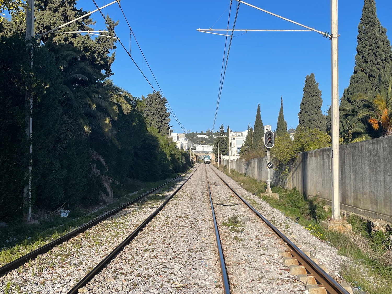 train tracks with trees and a blue sky