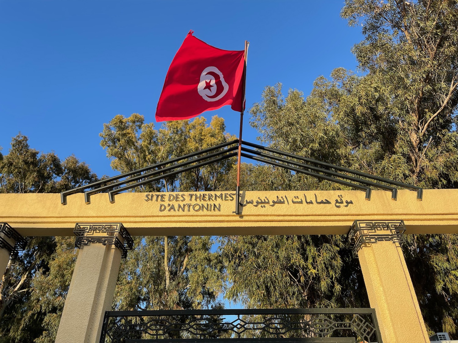 a flag on a pole