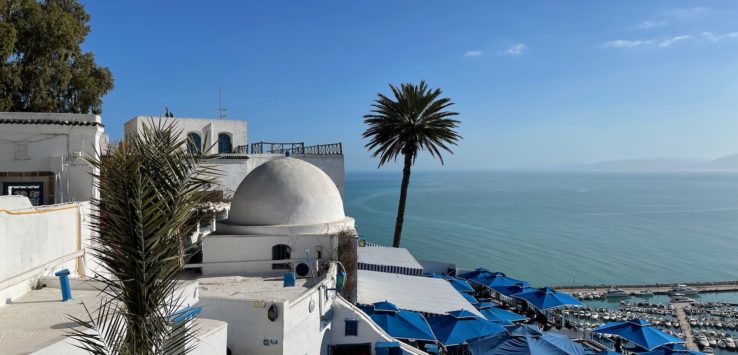 a white building with blue umbrellas and palm trees by the water