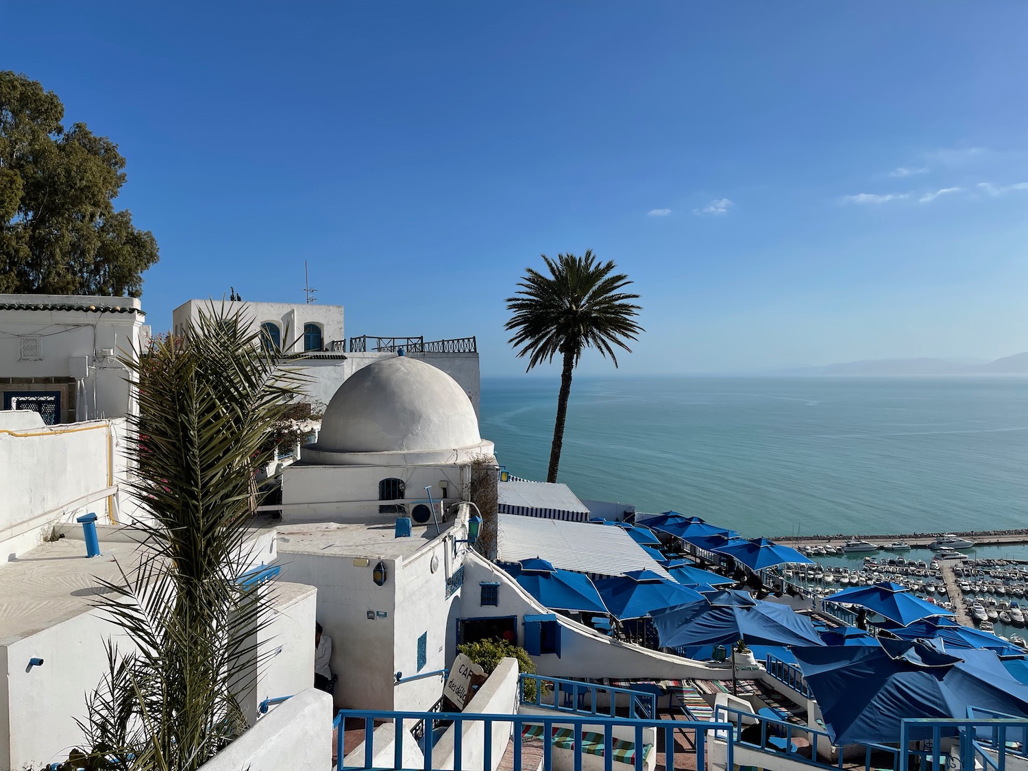 a white building with blue umbrellas and palm trees by the water