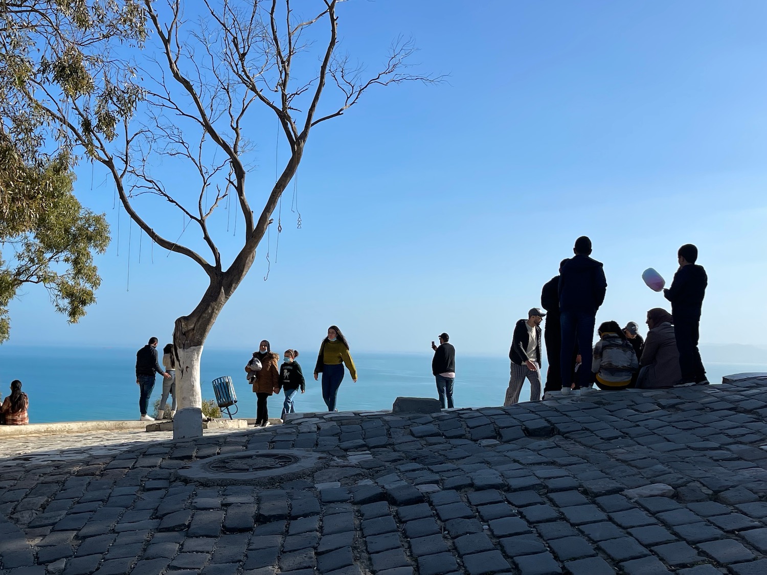 a group of people standing on a stone path by a tree