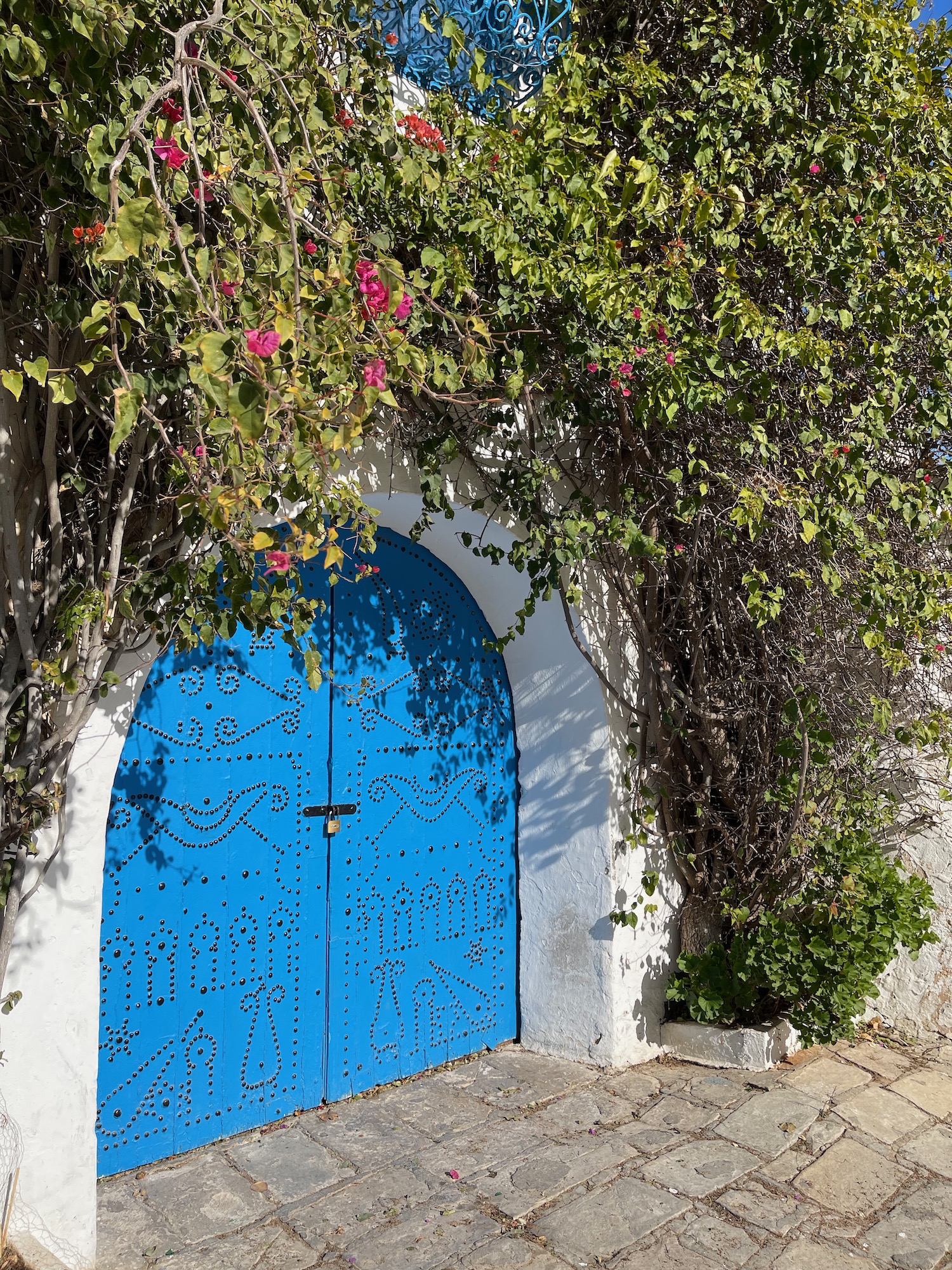 a blue door with a white wall and a tree