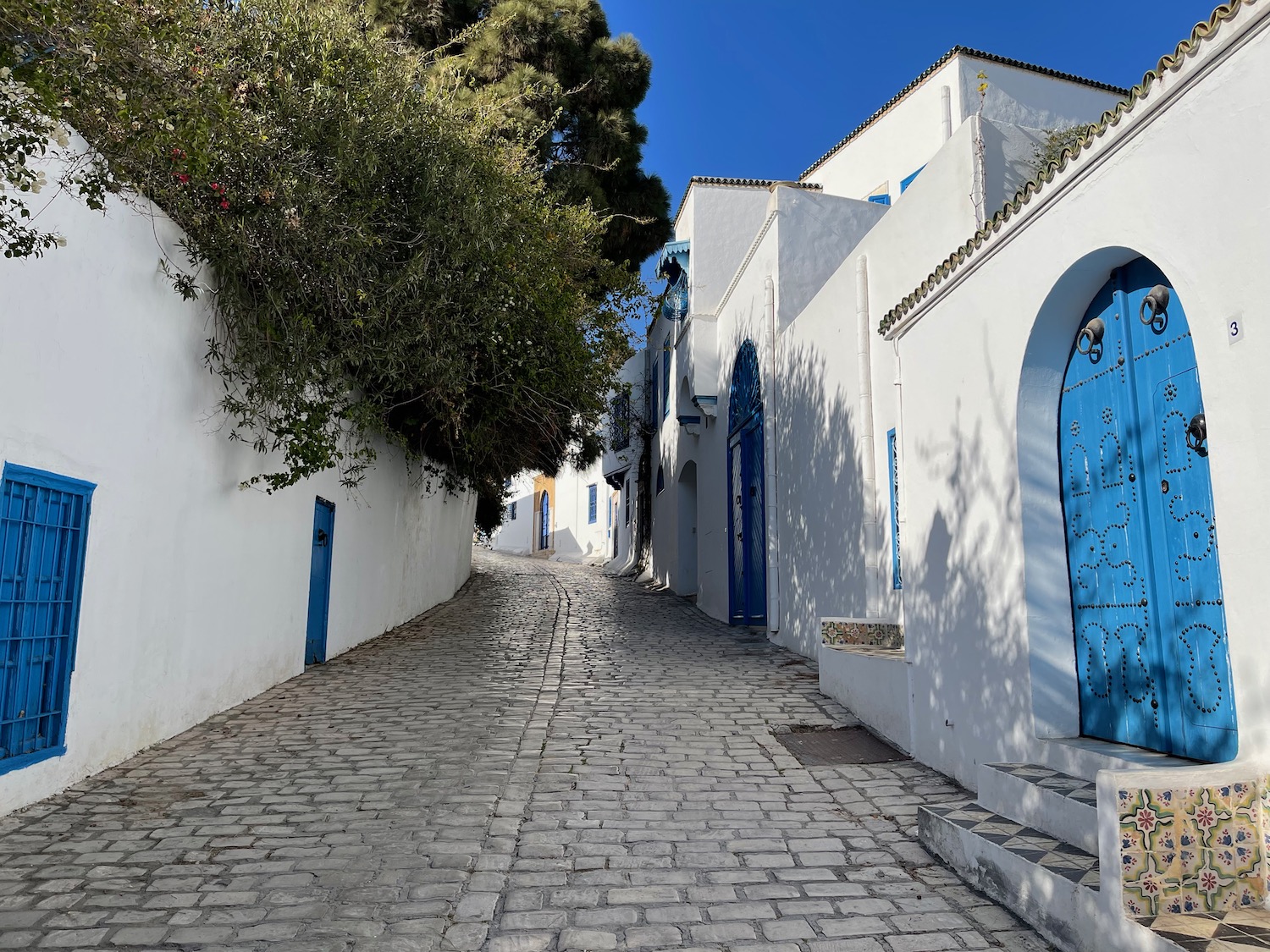 a stone street with white buildings and trees