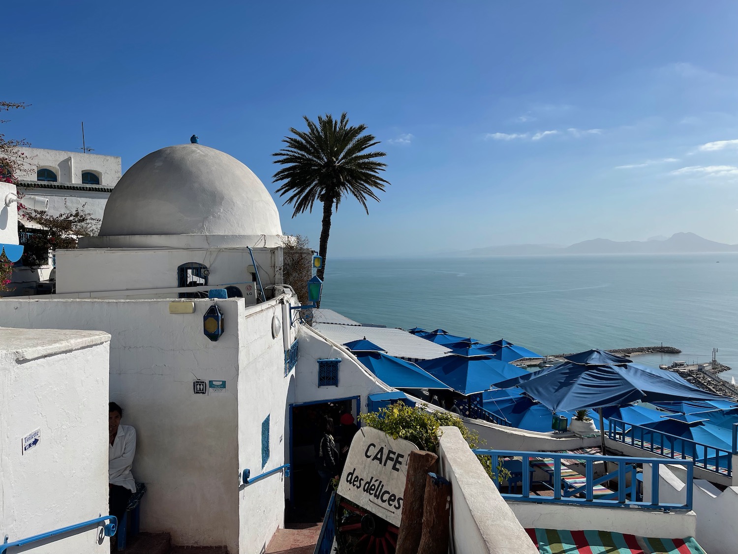 a building with a dome and a palm tree on the beach