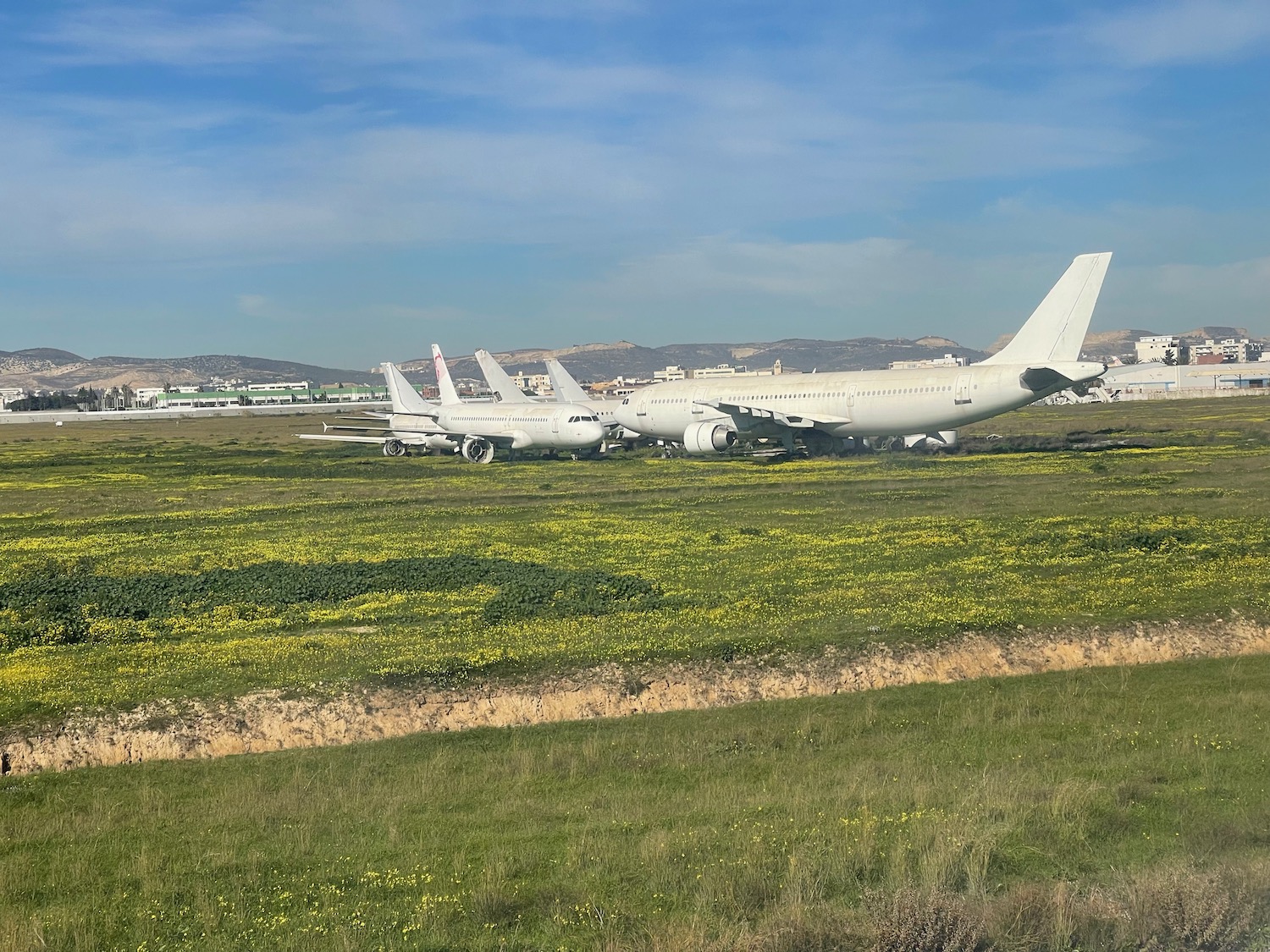 a group of airplanes on a field