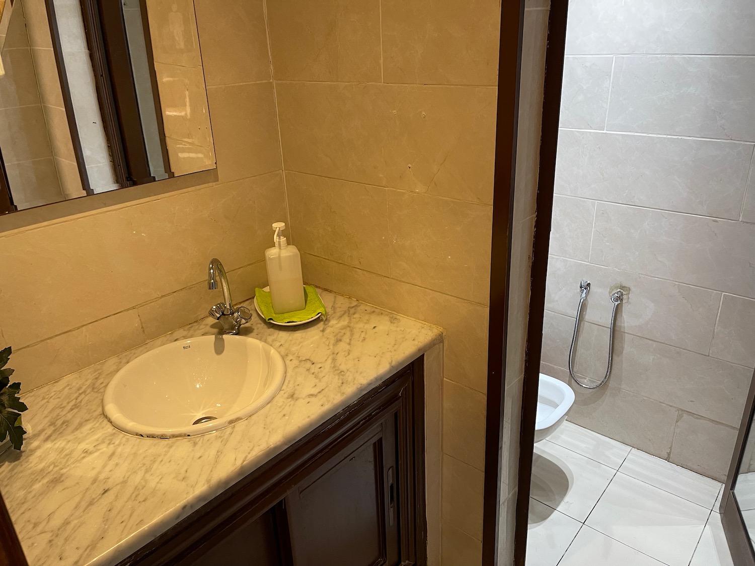 a bathroom with a sink and toilet