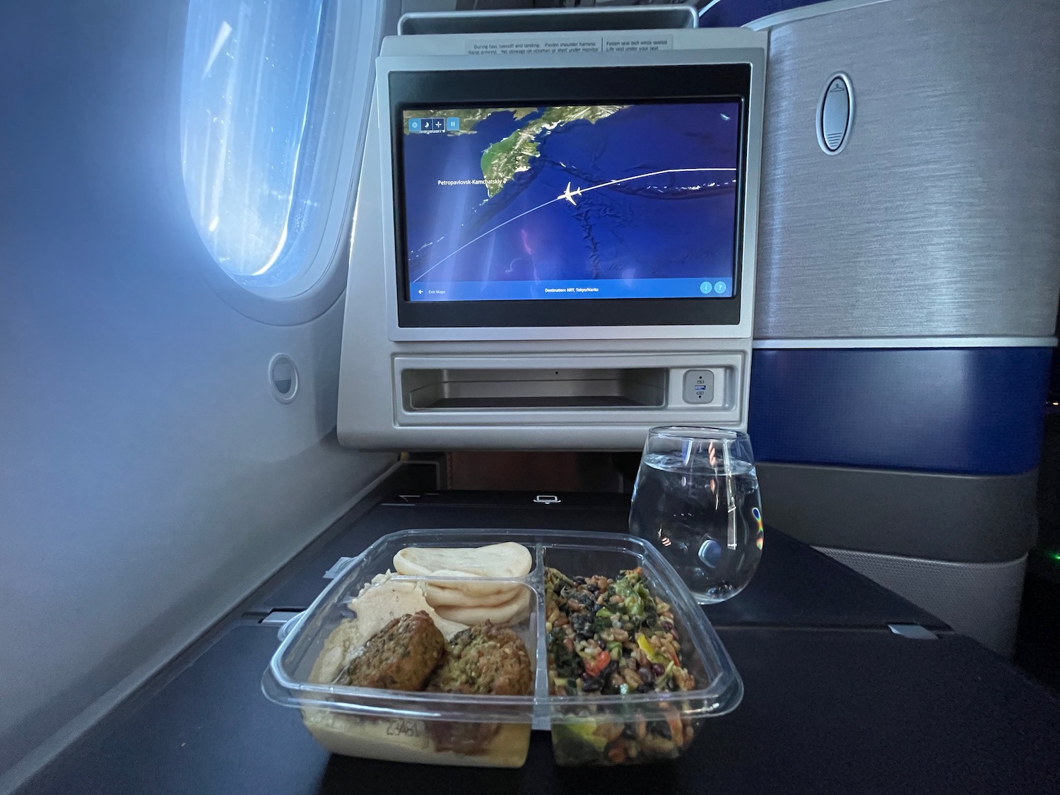 a tray of food on a table in an airplane