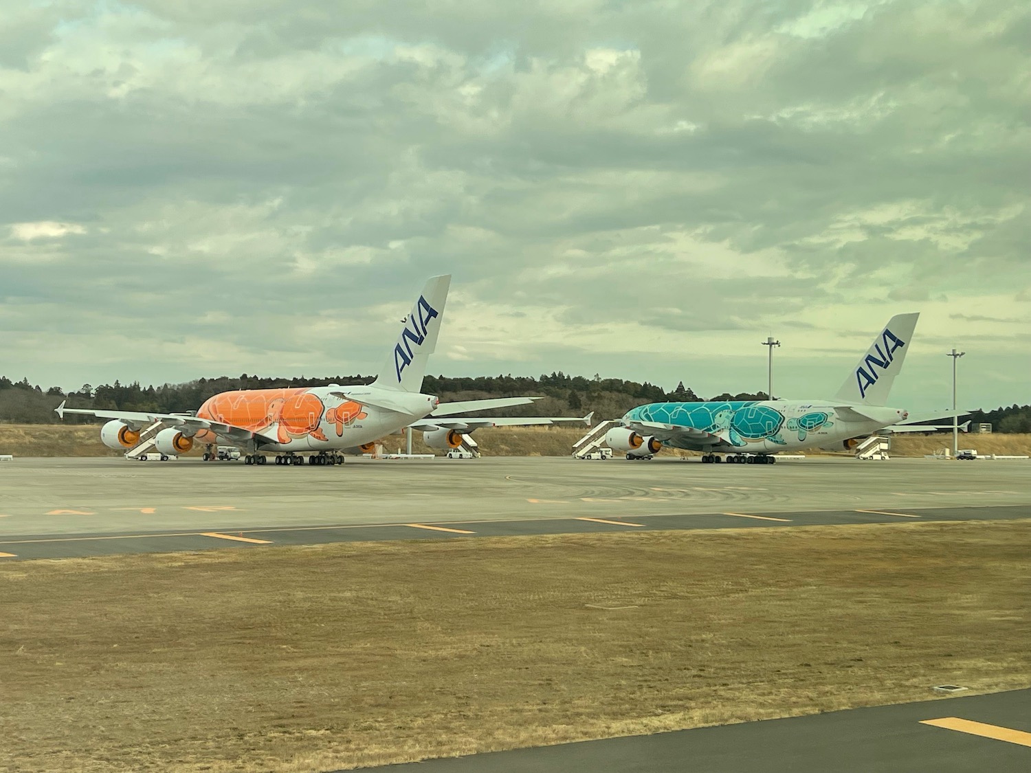 airplanes parked on a runway