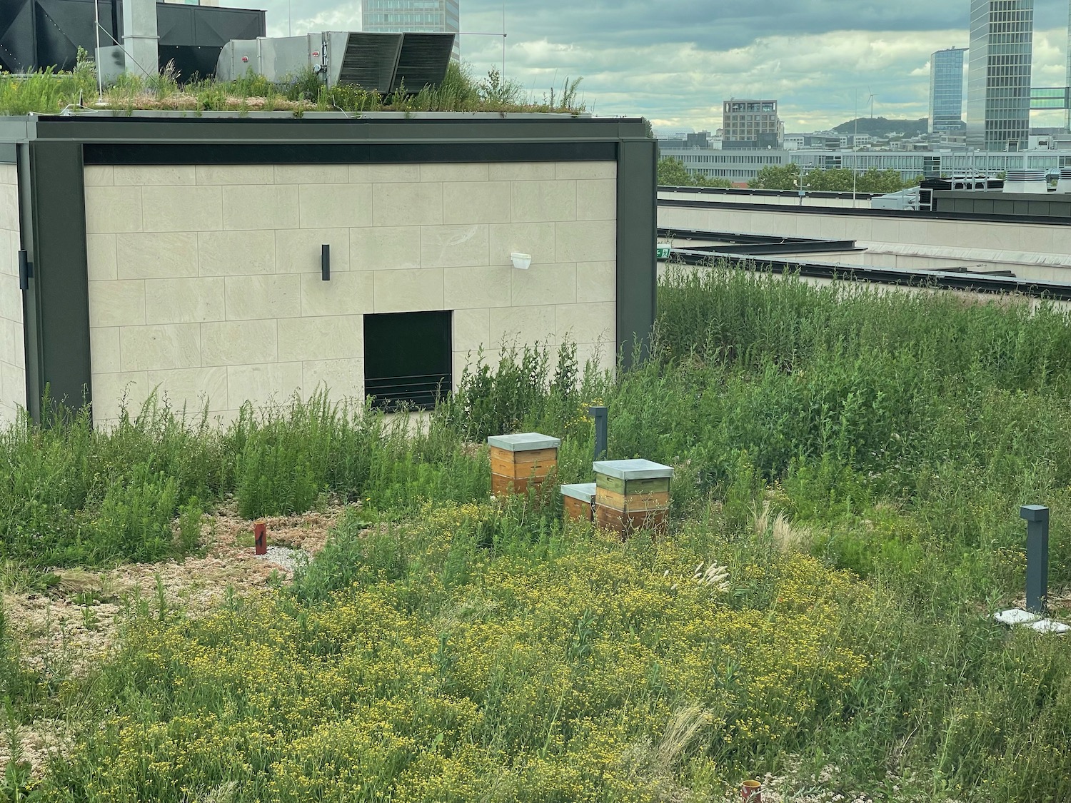 a building with a roof and grass