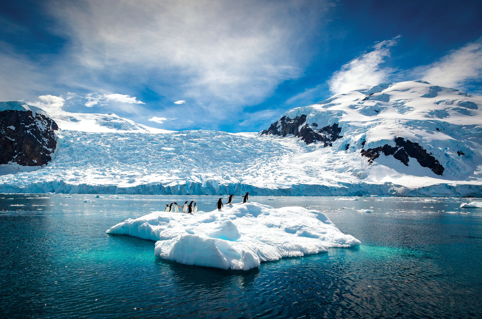 penguins on an iceberg in the water