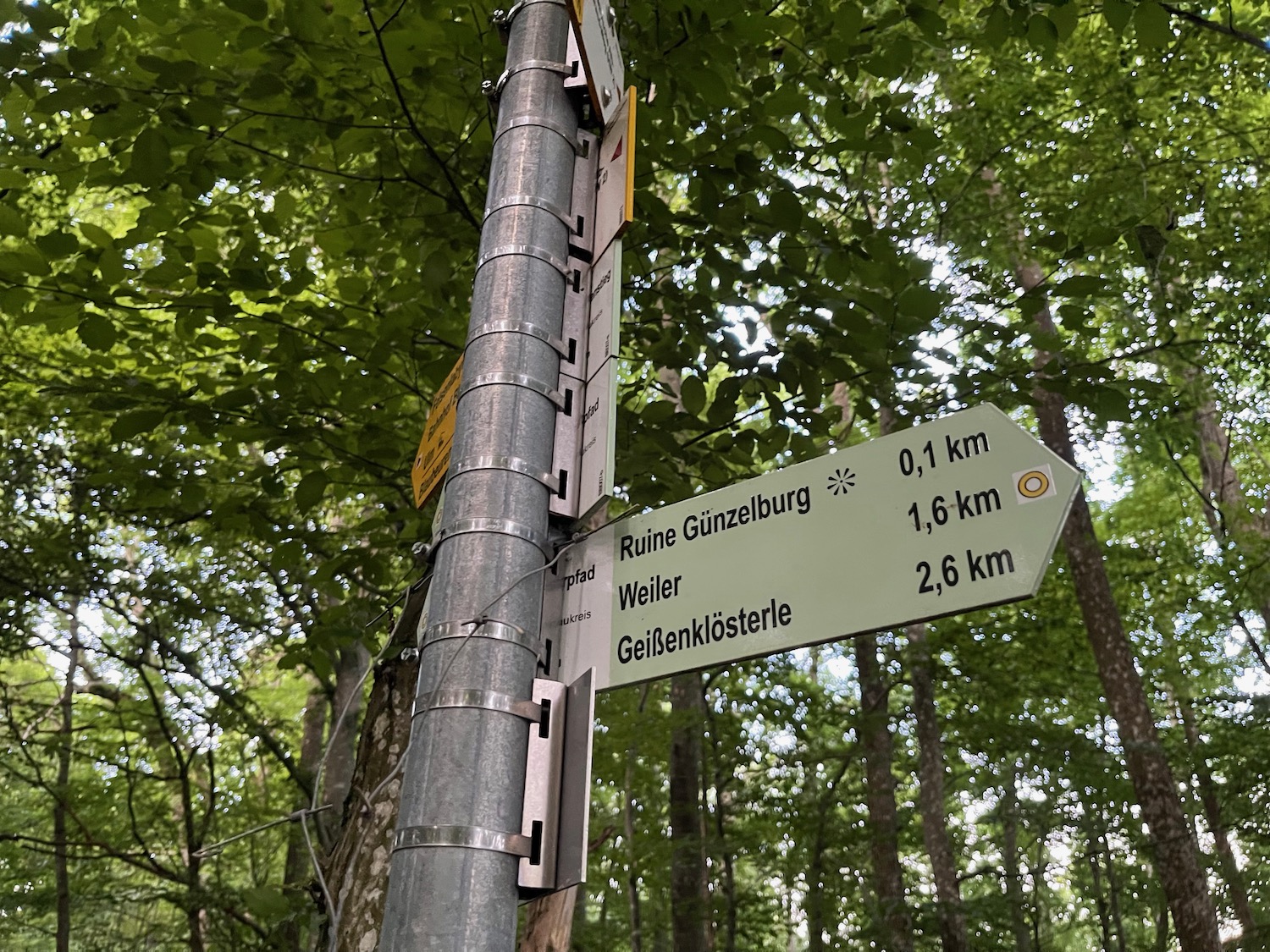 a sign post with a tree in the background