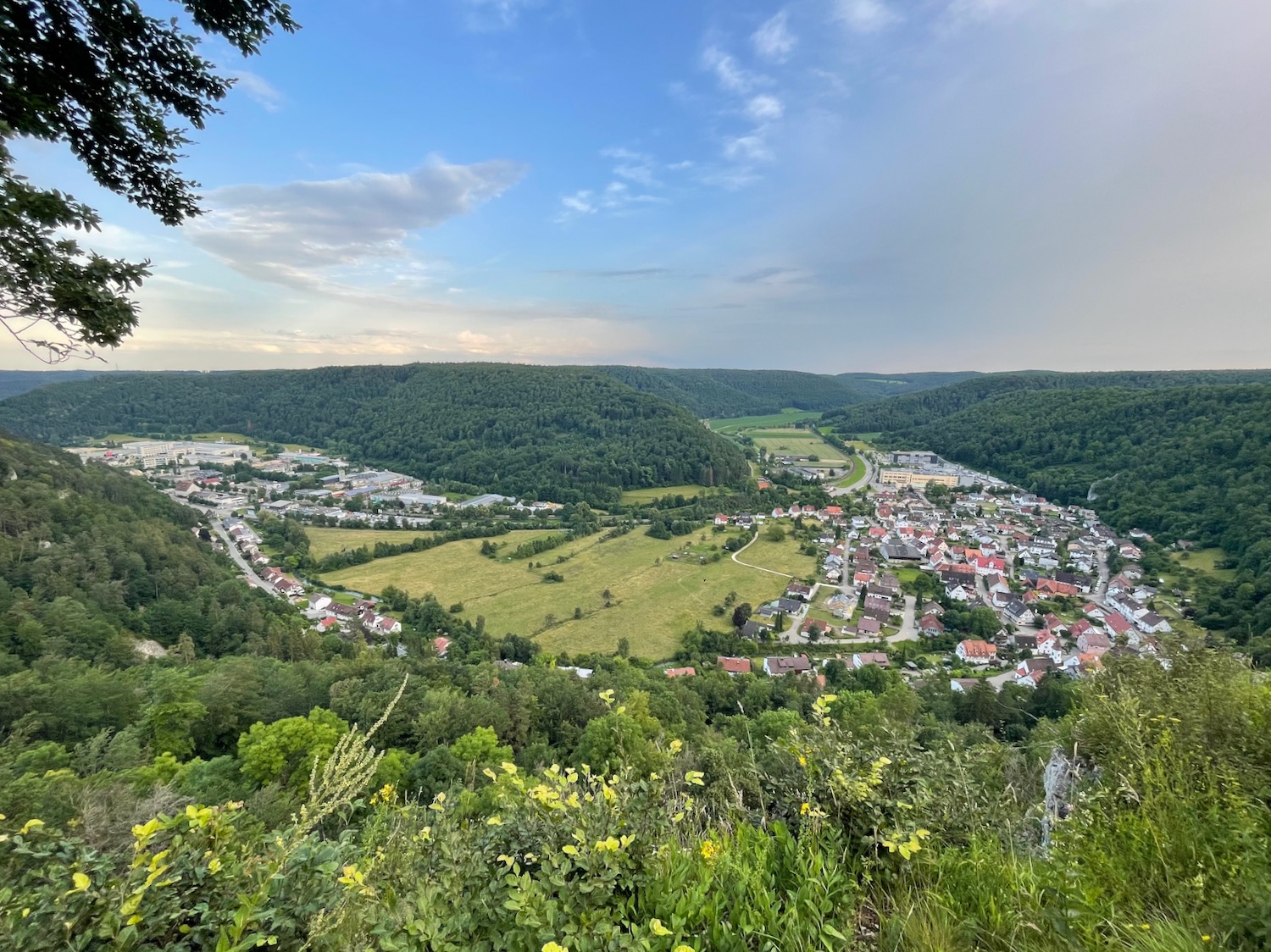 a landscape with a city and trees