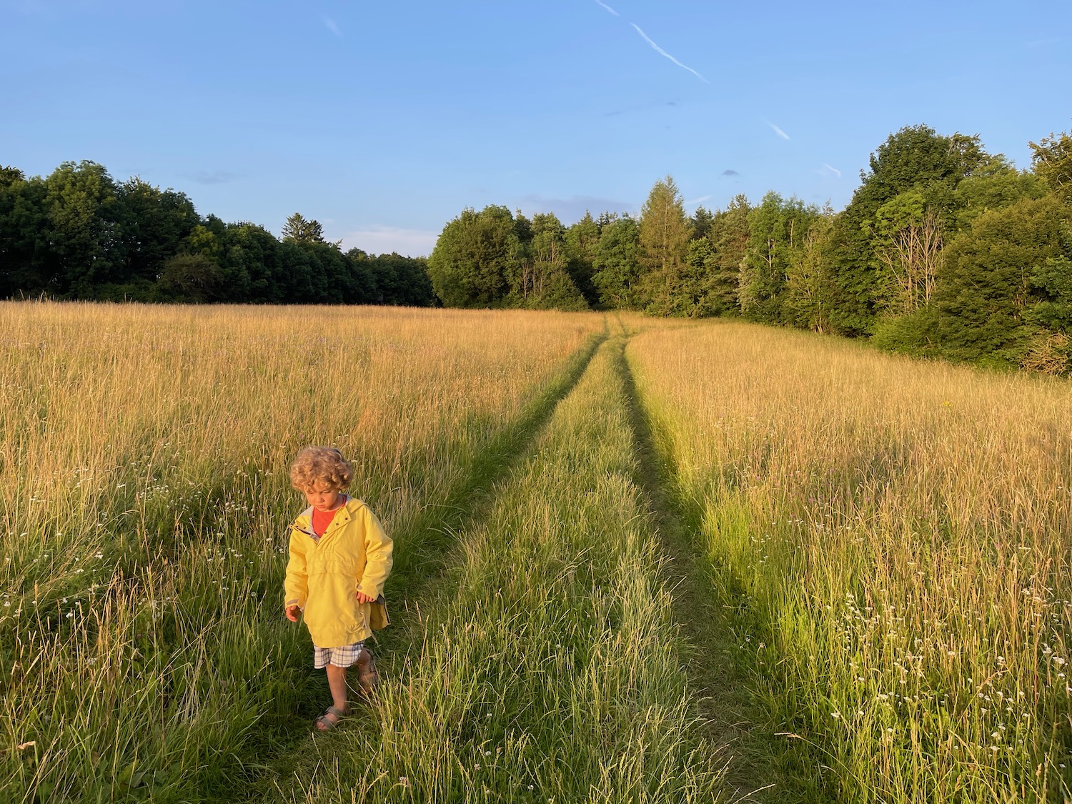 a child walking through a field of grass