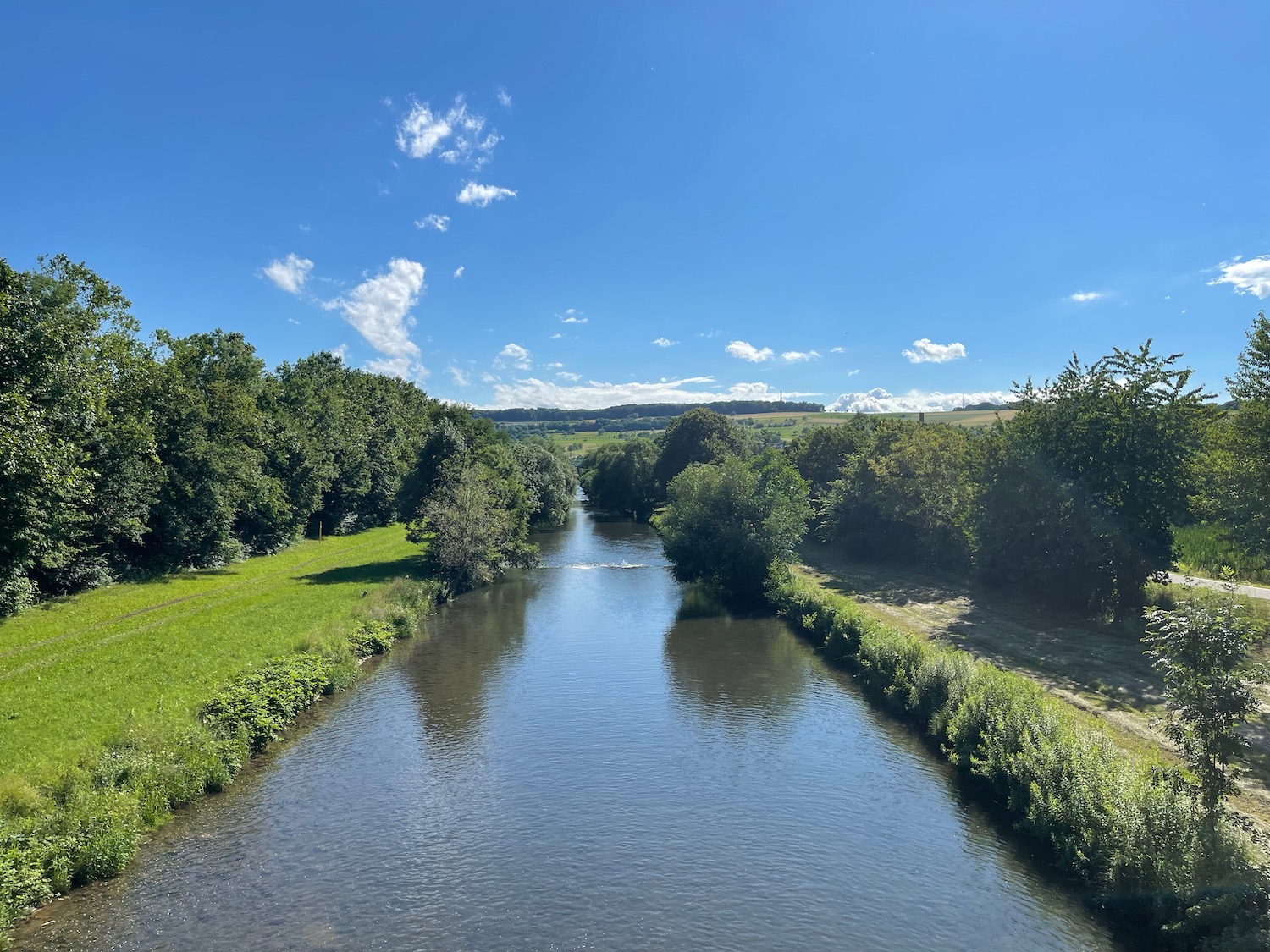 a river with trees and grass