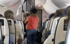 Dog Lavatory Airplane