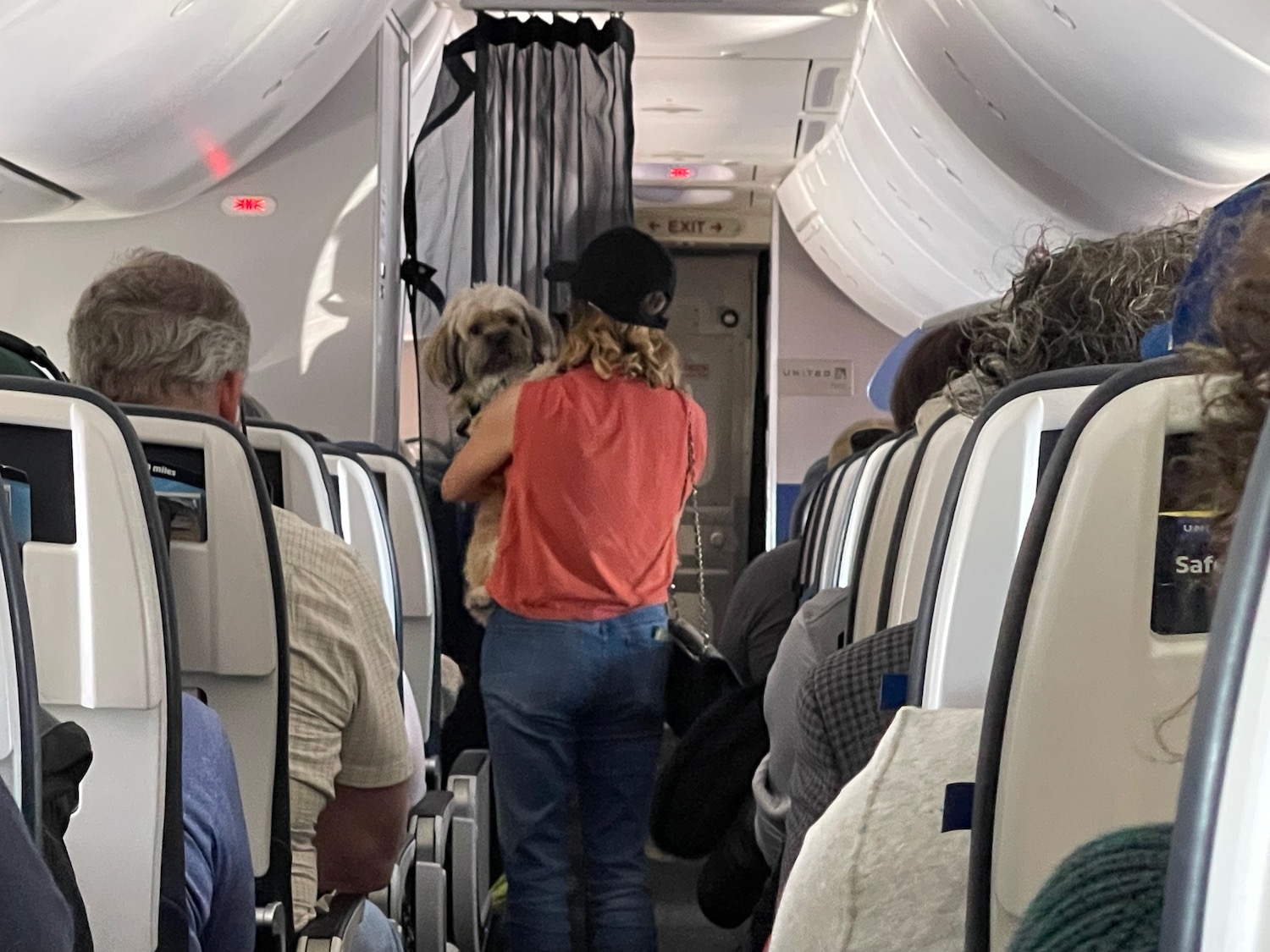 a woman holding a dog in an airplane