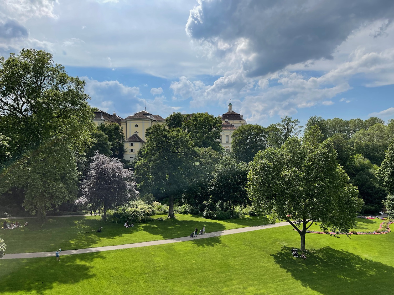 a park with trees and people on it