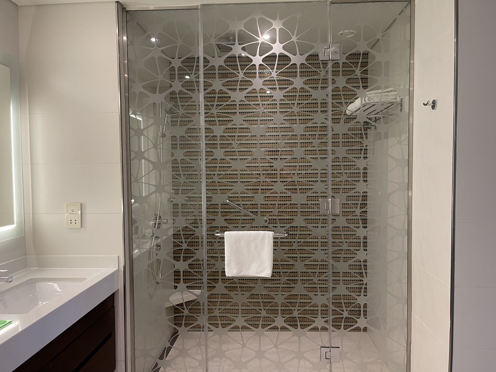 Hyatt Place Dubai Wasl master shower