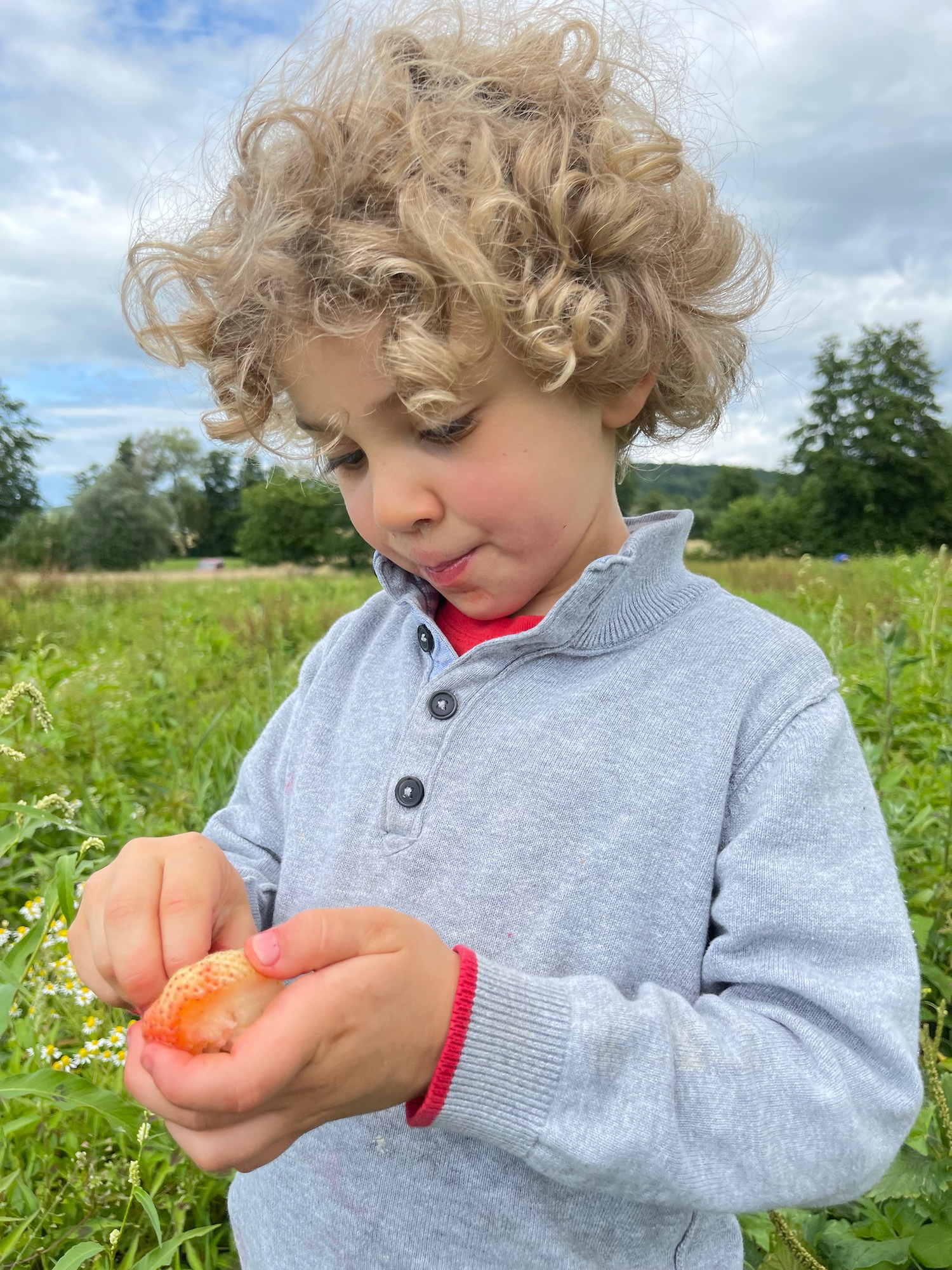 a child holding a fish in a field