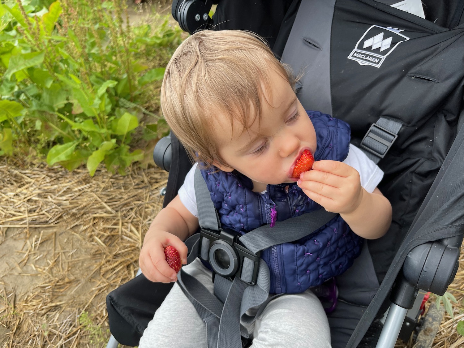 a baby eating a strawberry