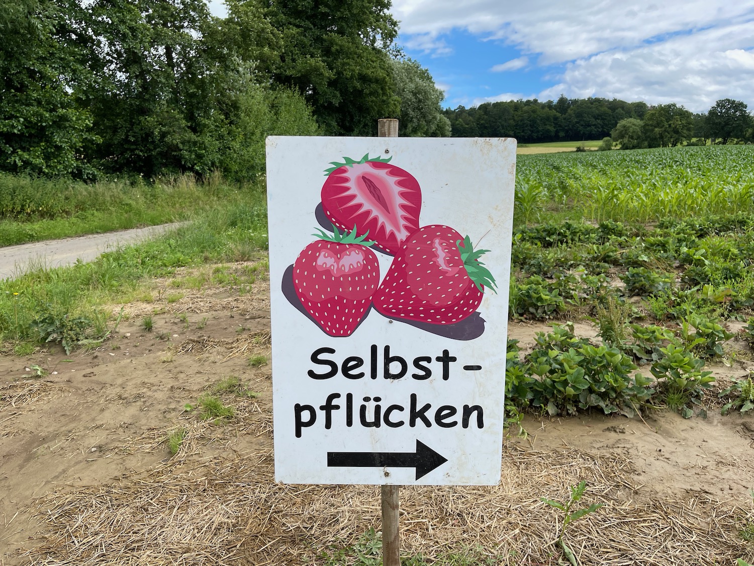 a sign with strawberries on it