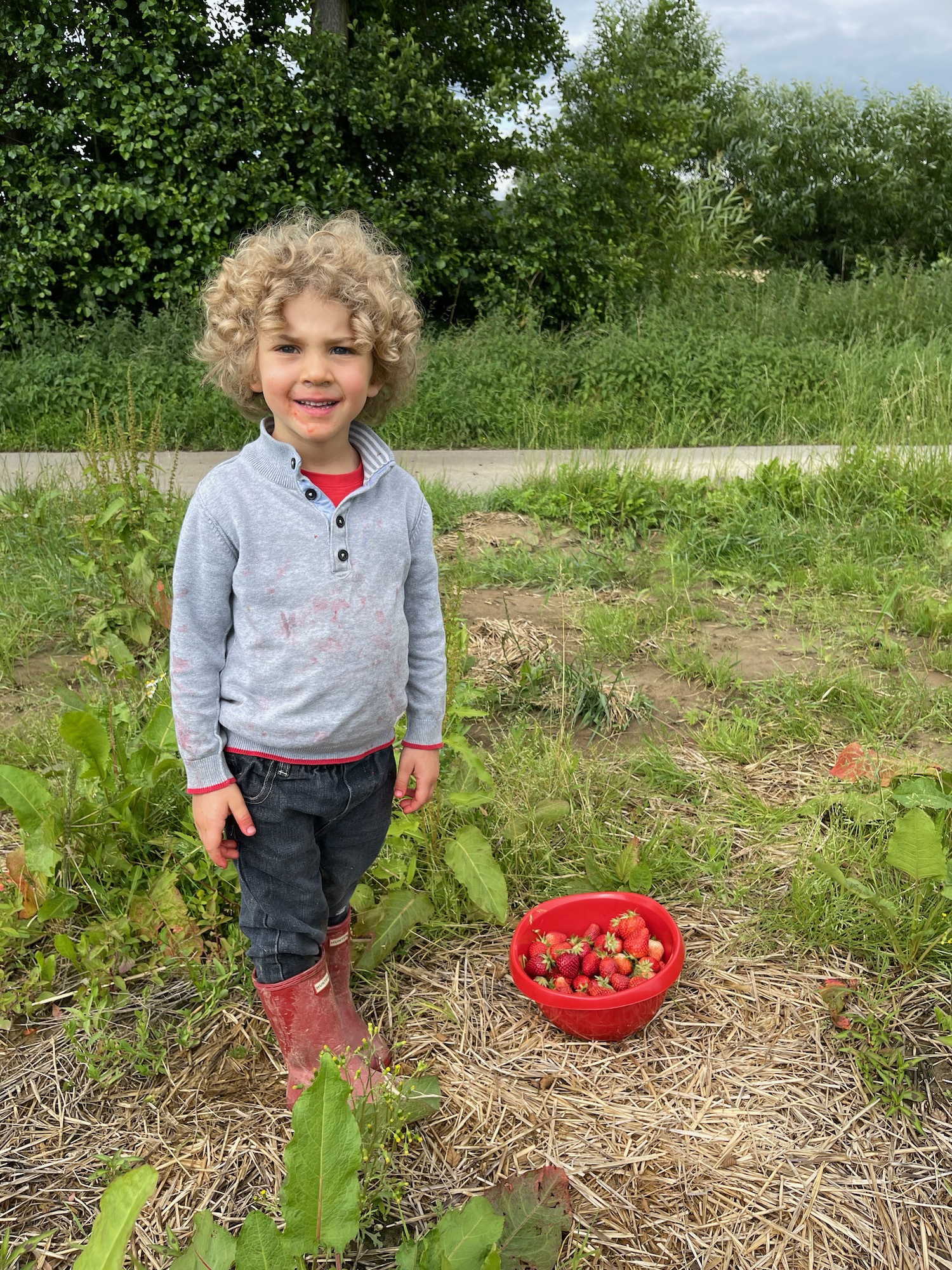 a boy standing in a field with a bowl of strawberries