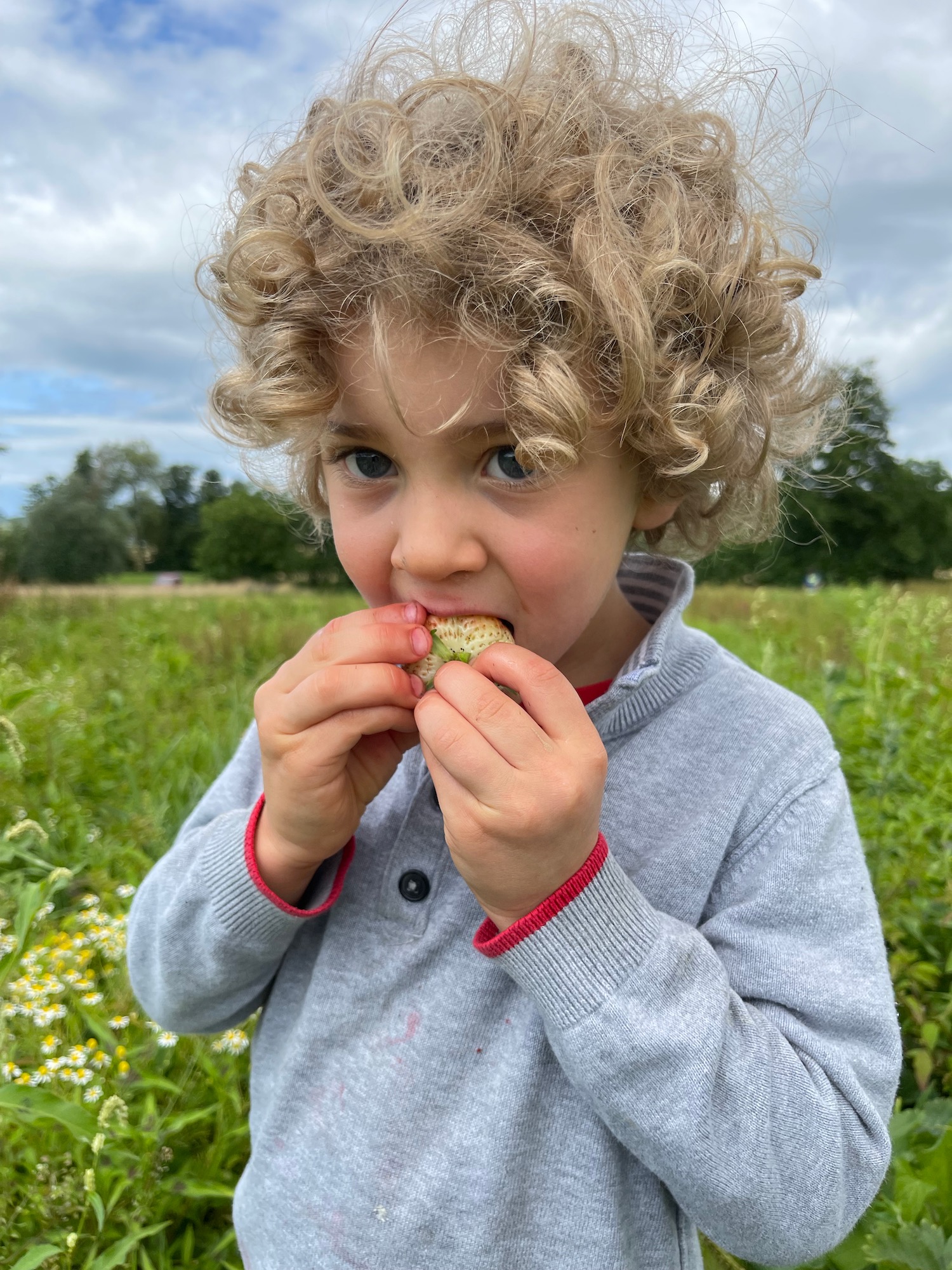 a child eating food in a field