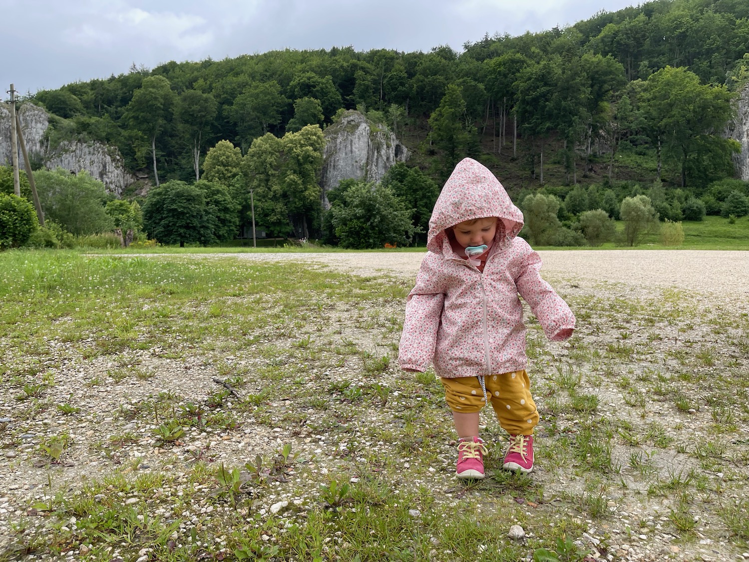 a child in a pink jacket walking in a grassy area