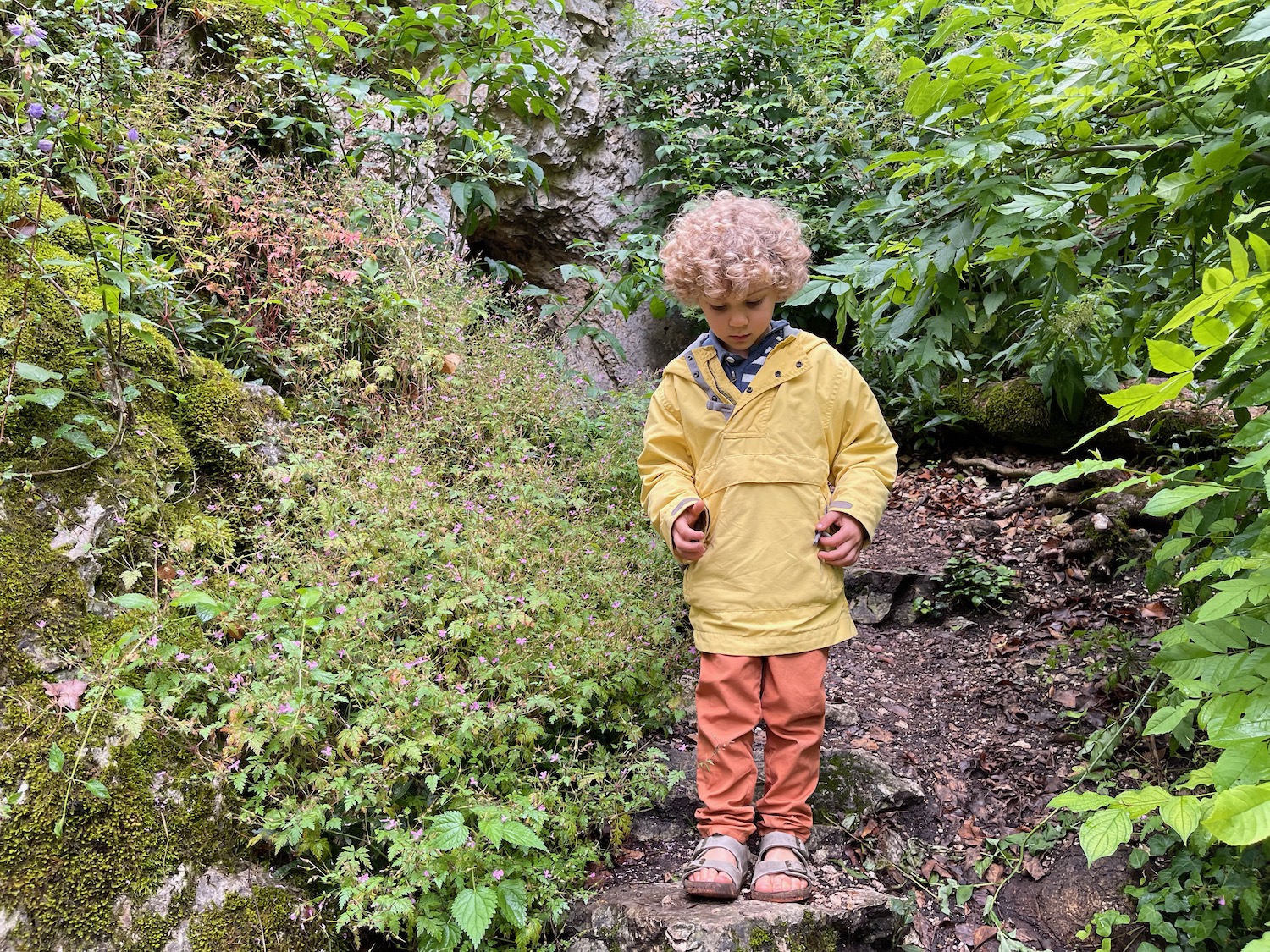 a child standing on a rock in a forest