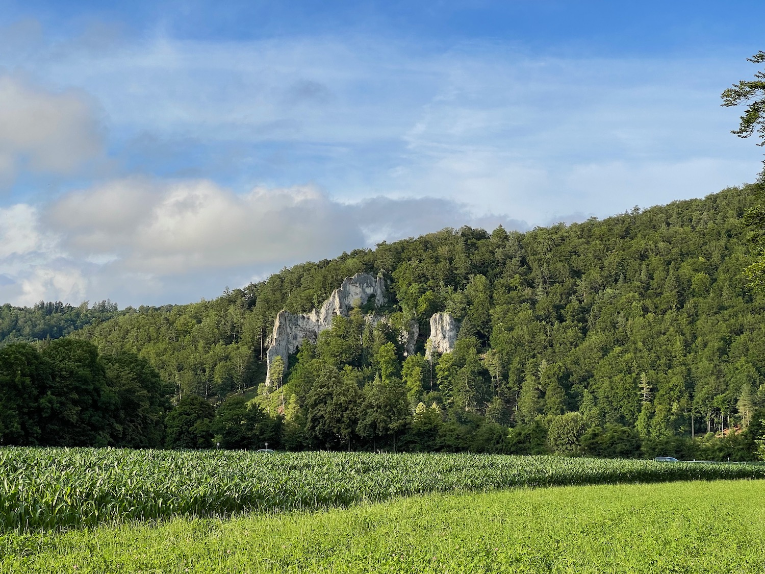 a green field with trees and a cliff in the background