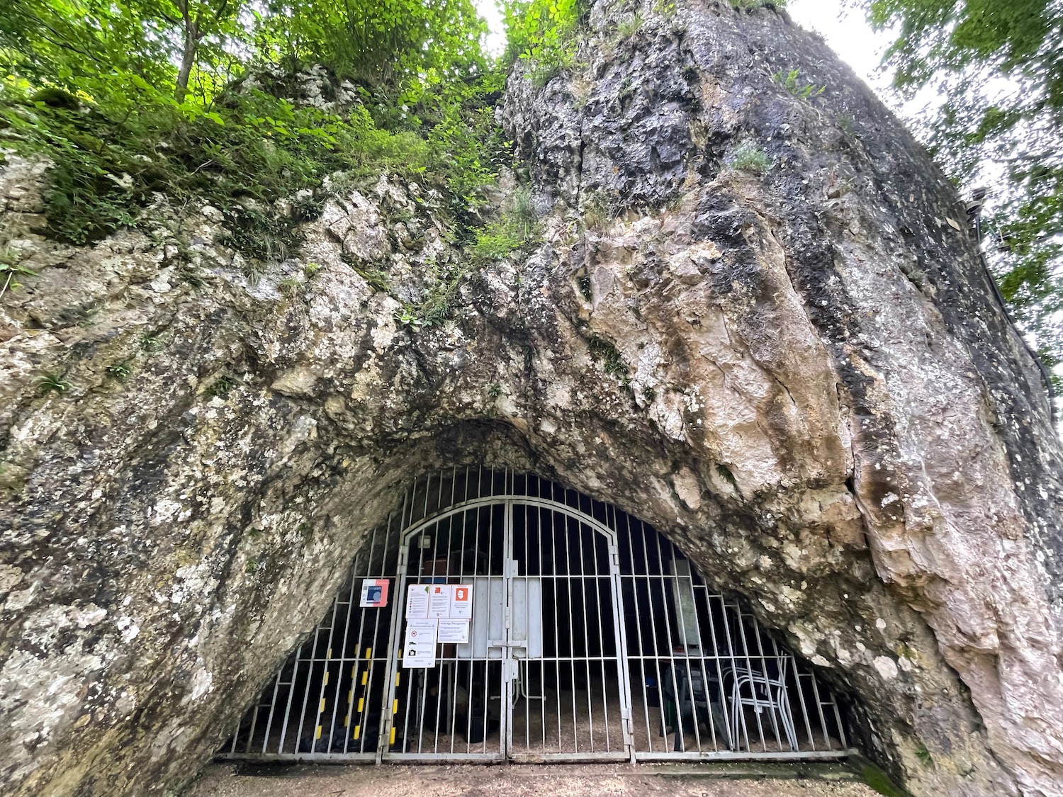 a metal gate in a cave