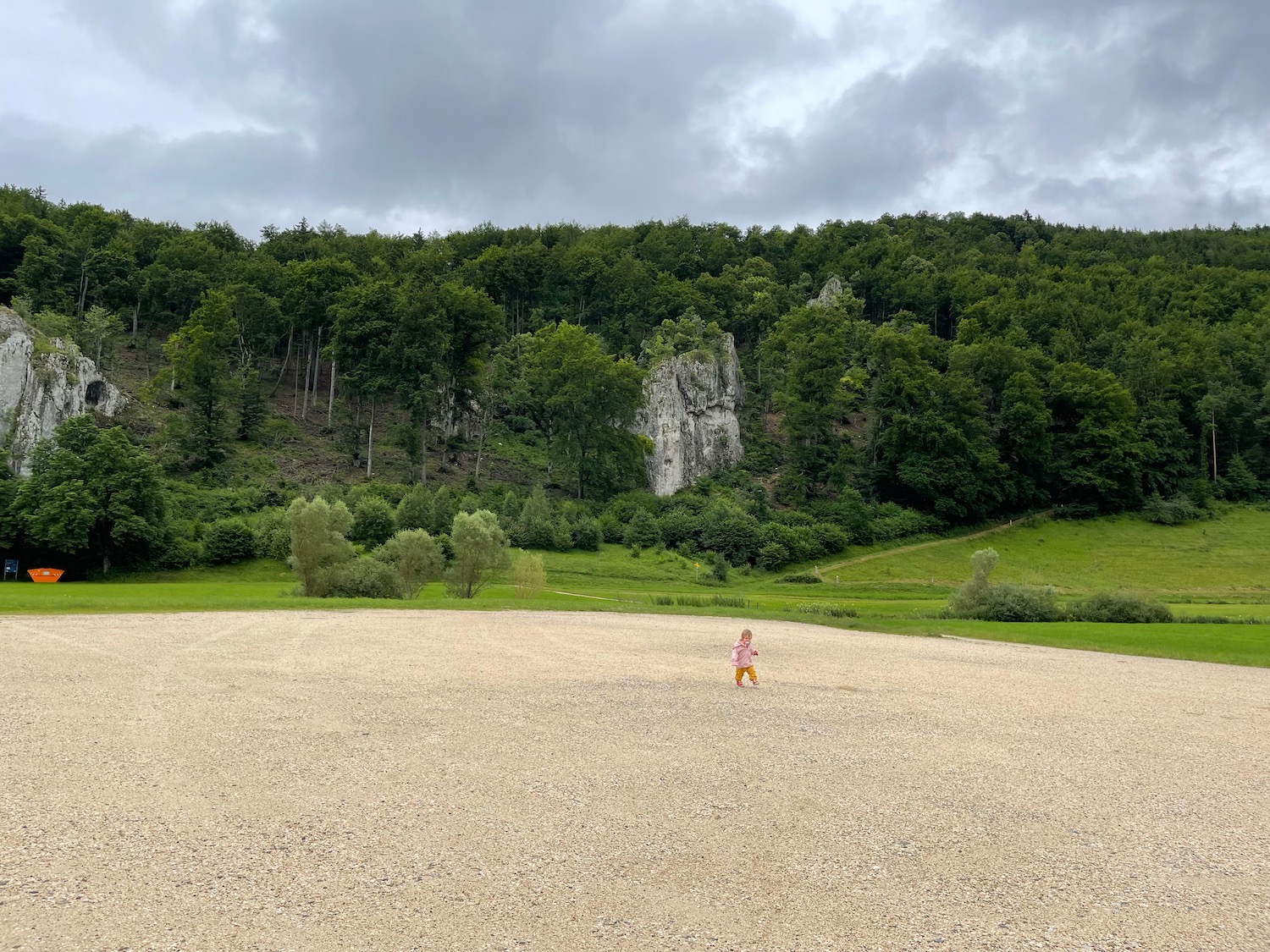 a child walking in a field with trees in the background