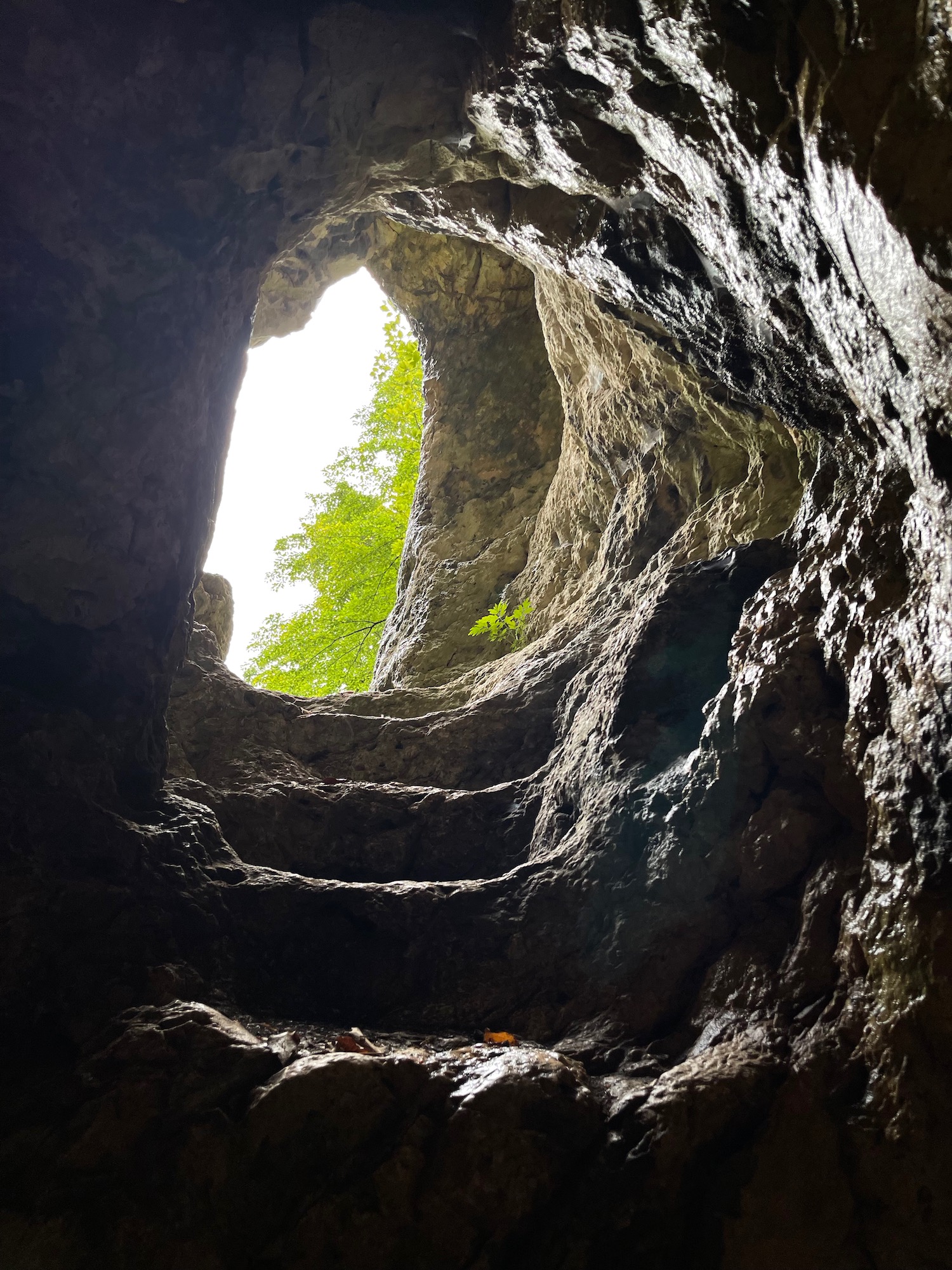 looking up at a hole in a rock cave