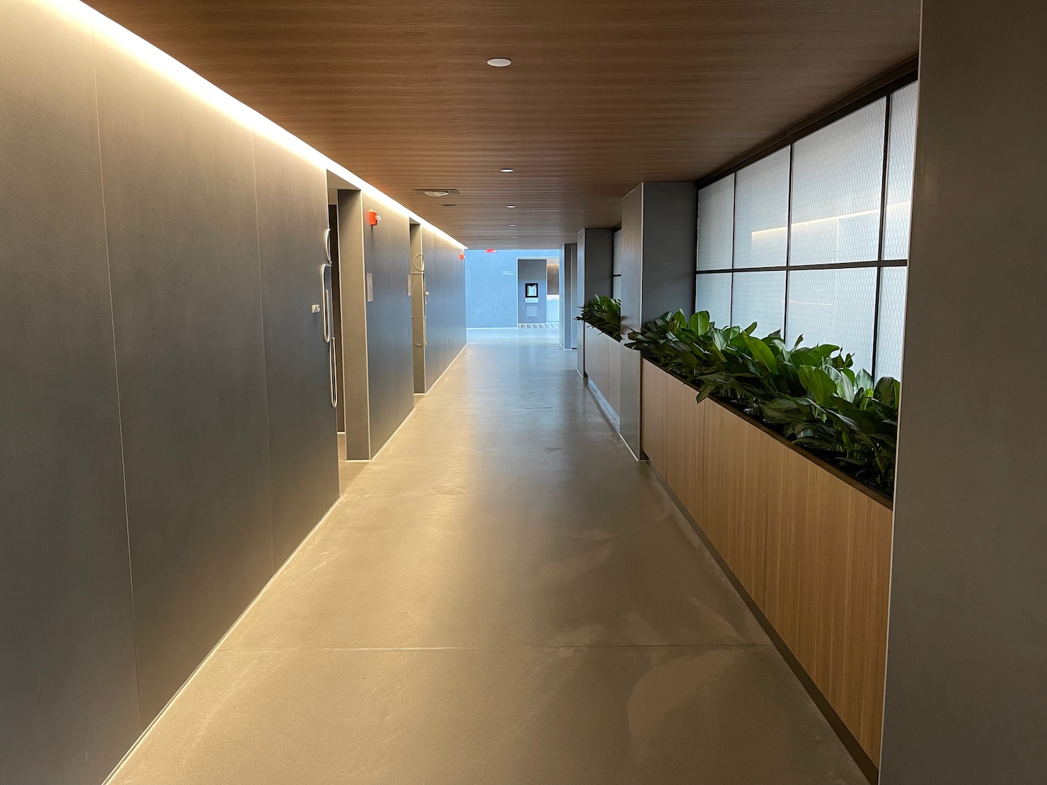 a long hallway with plants in it