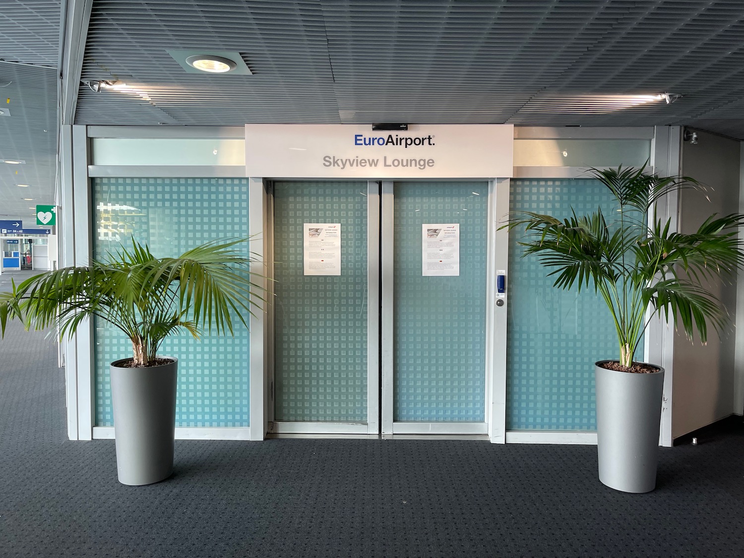 two plants in pots in front of a building