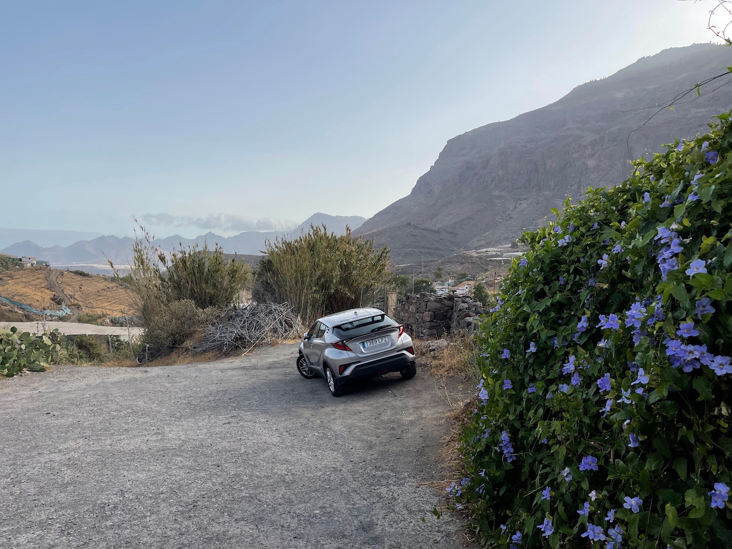 a car parked on a road with purple flowers and mountains in the background