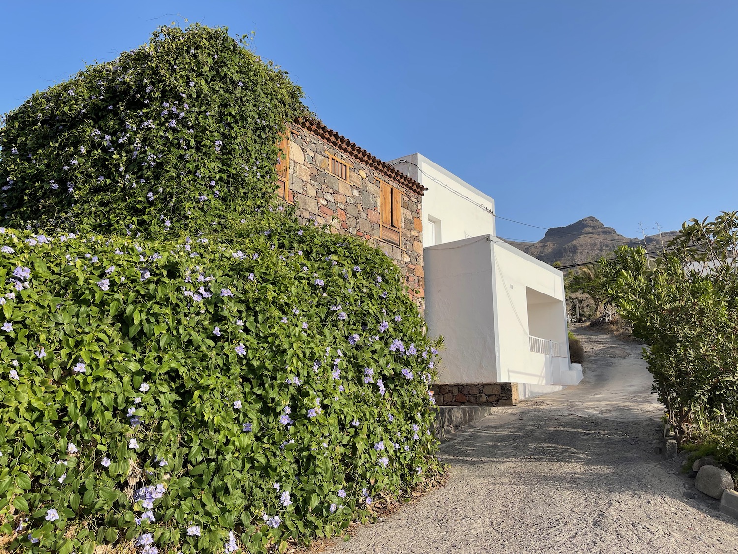 a stone building with a bush on the side